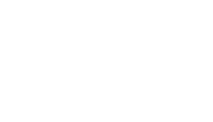Bauknecht hvidt logo