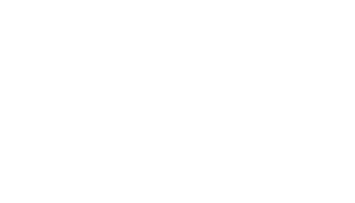 Blomberg hvidt logo
