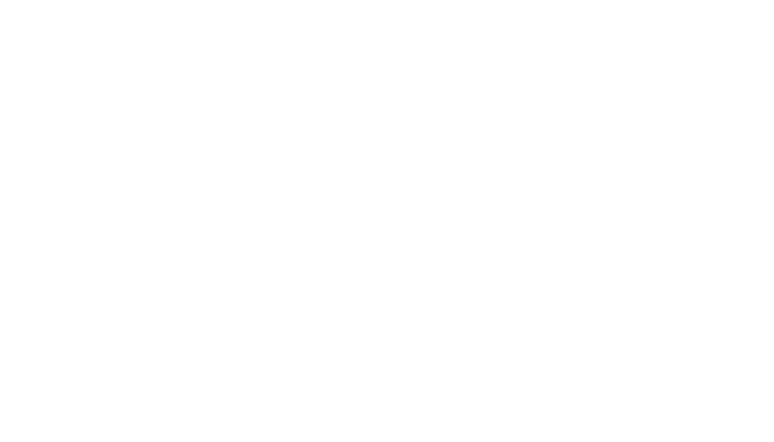 Brandt hvidt logo