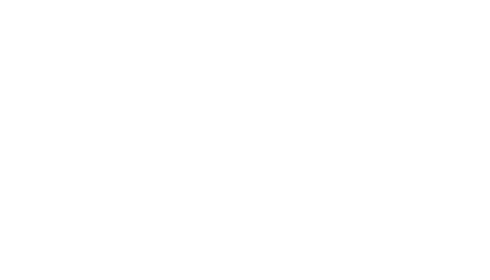 Witt hvidt logo