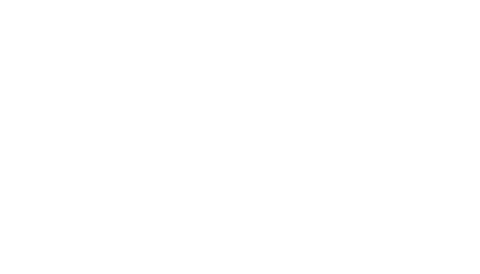 Danfoss hvidt logo