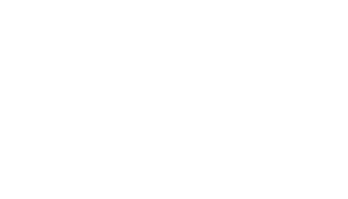 DVI energi hvidt logo