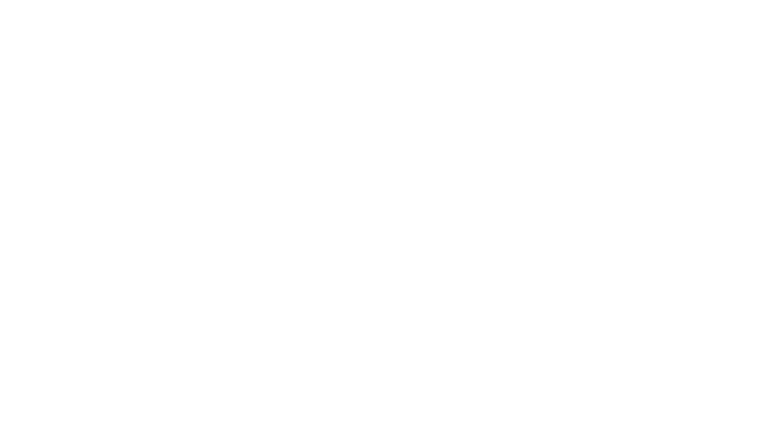 Toshiba hvidt logo