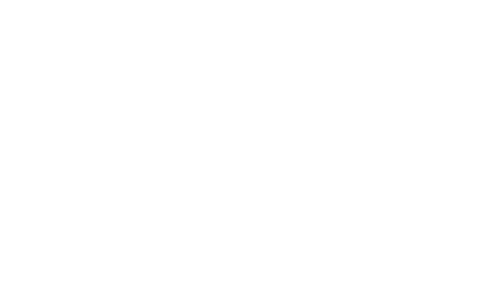 Viessmann hvidt logo